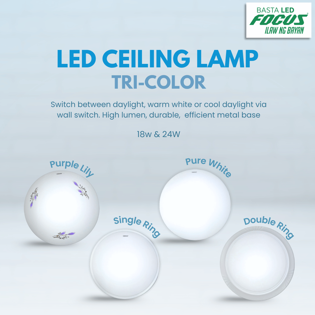 Ceiling Lamp